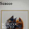 NickVincentScacco